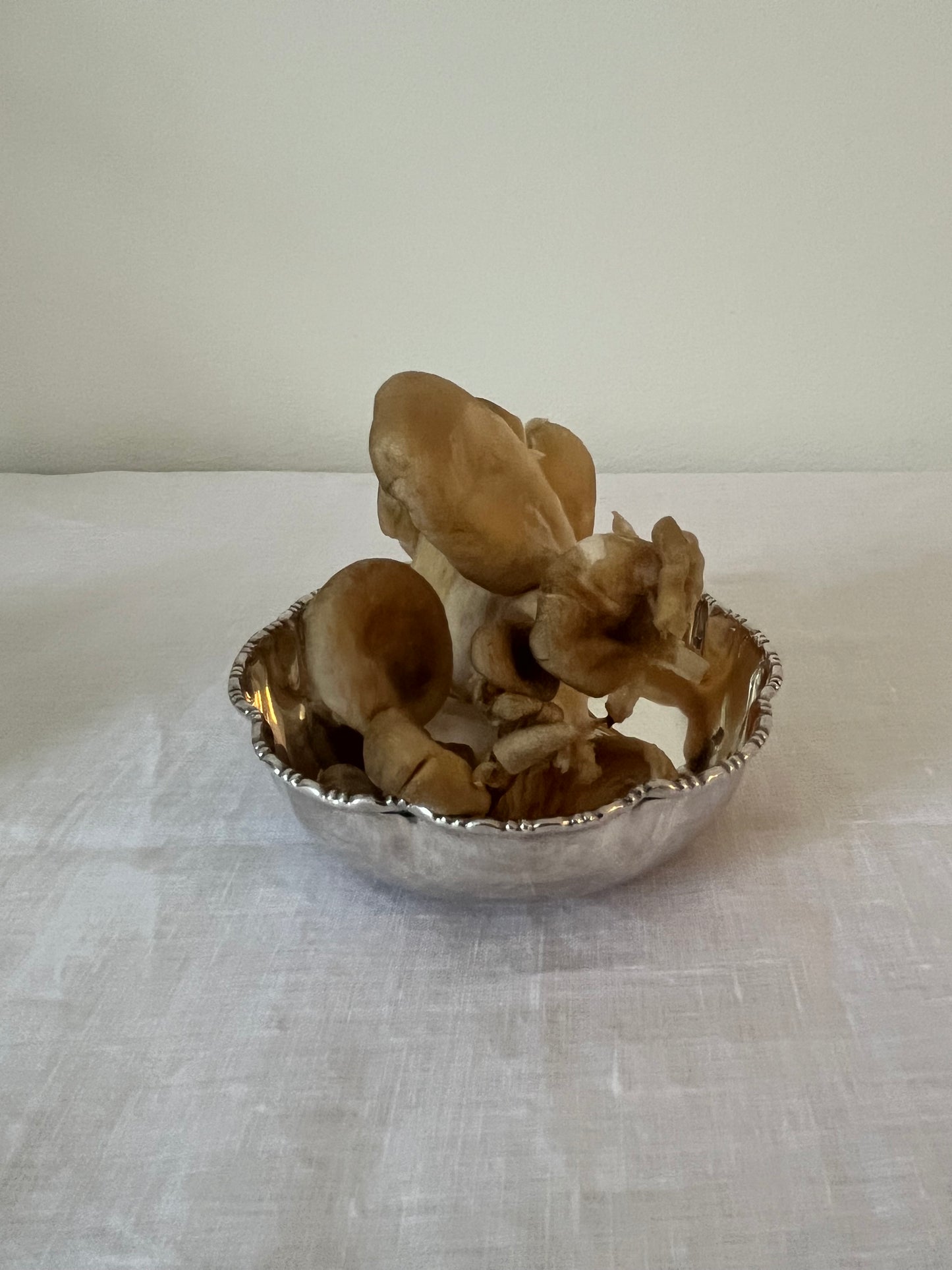 Curvy Silver Plated Bowl
