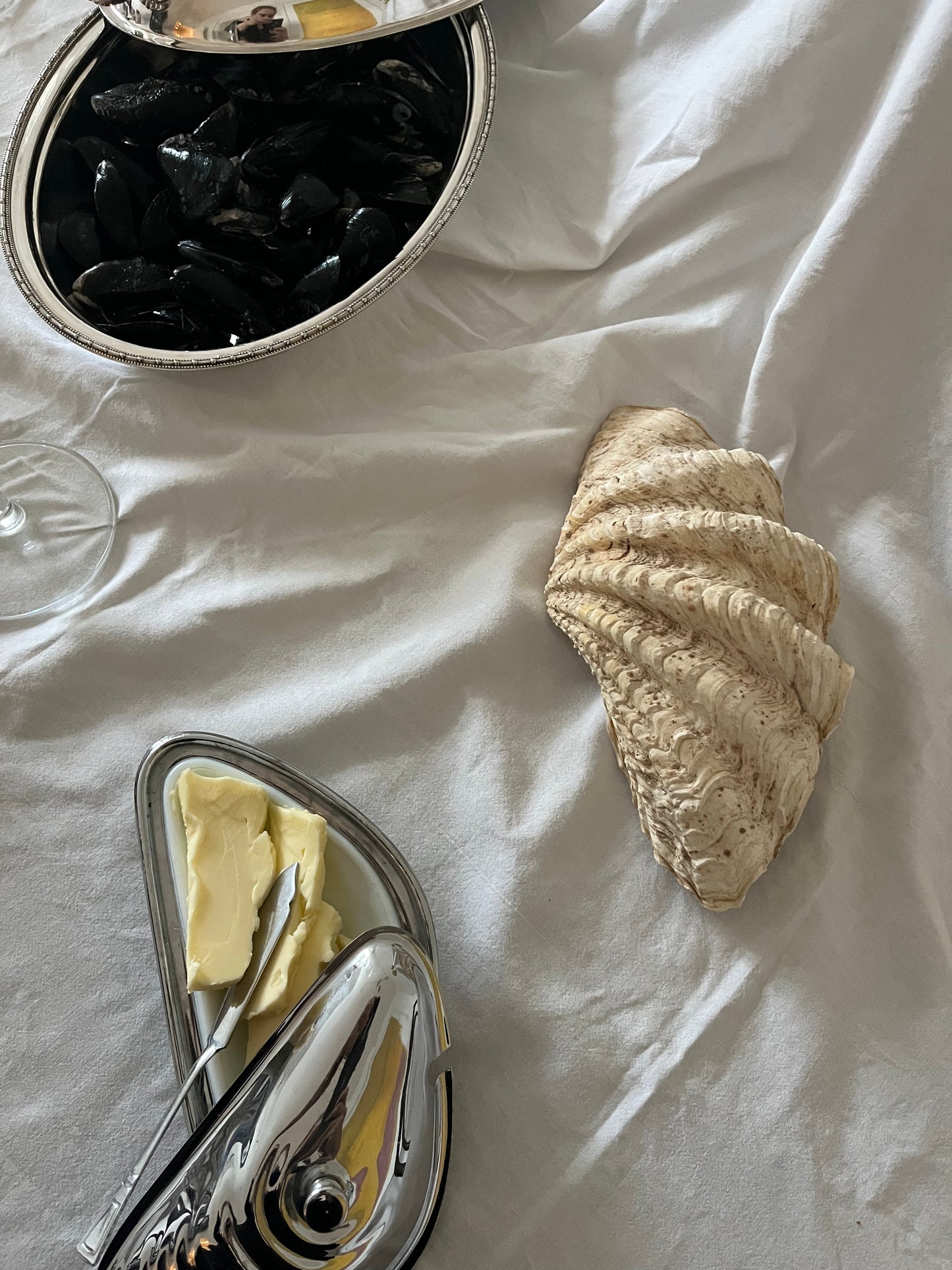 Vintage Genuine Shell