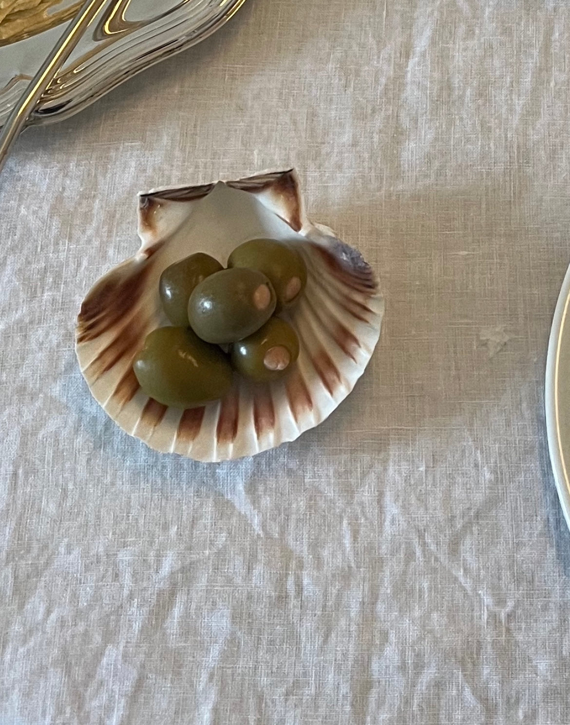 Genuine Shell for Your Favourite Condiments