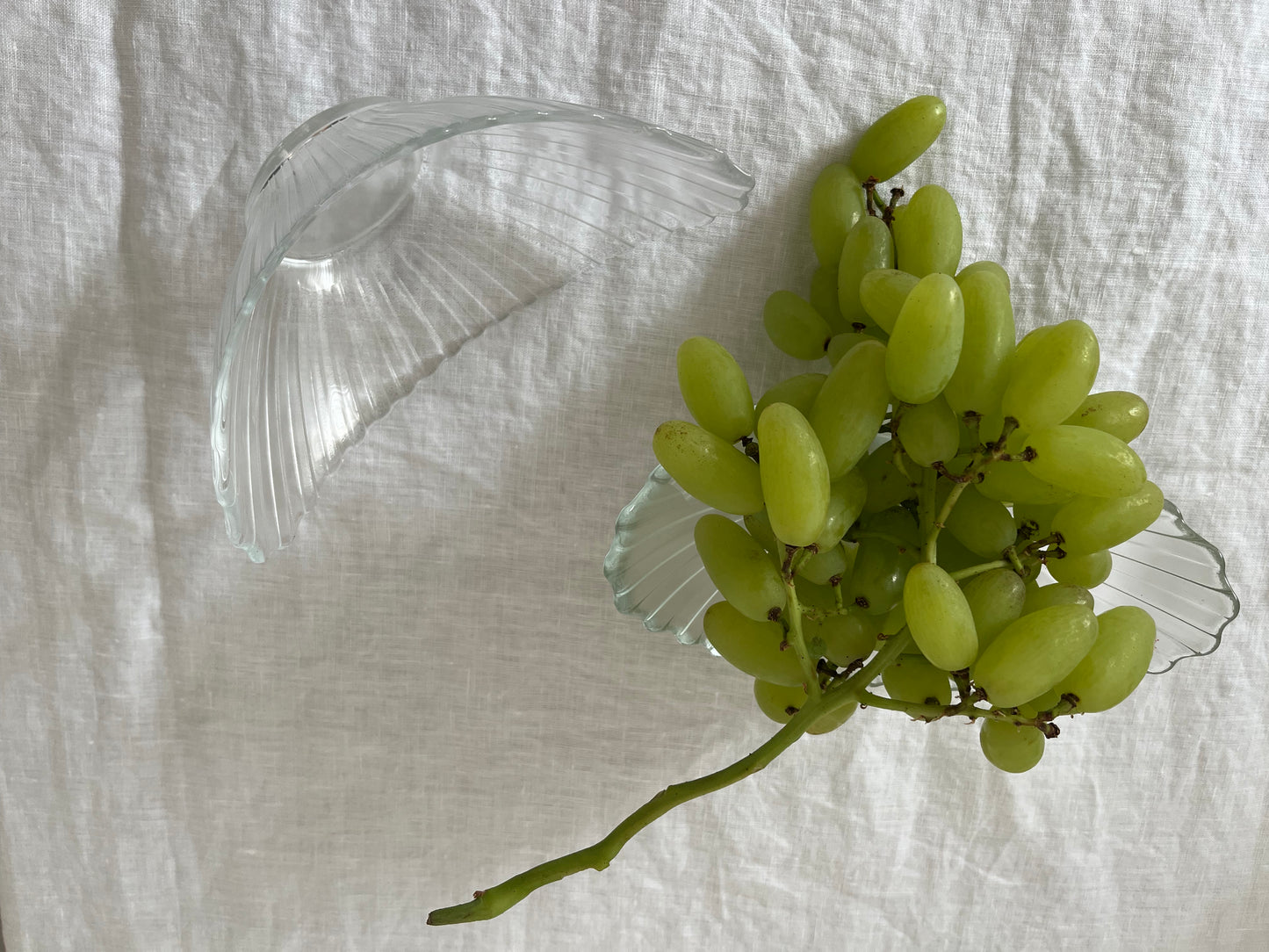 Rare Shell Shaped Clear Glass Bowl
