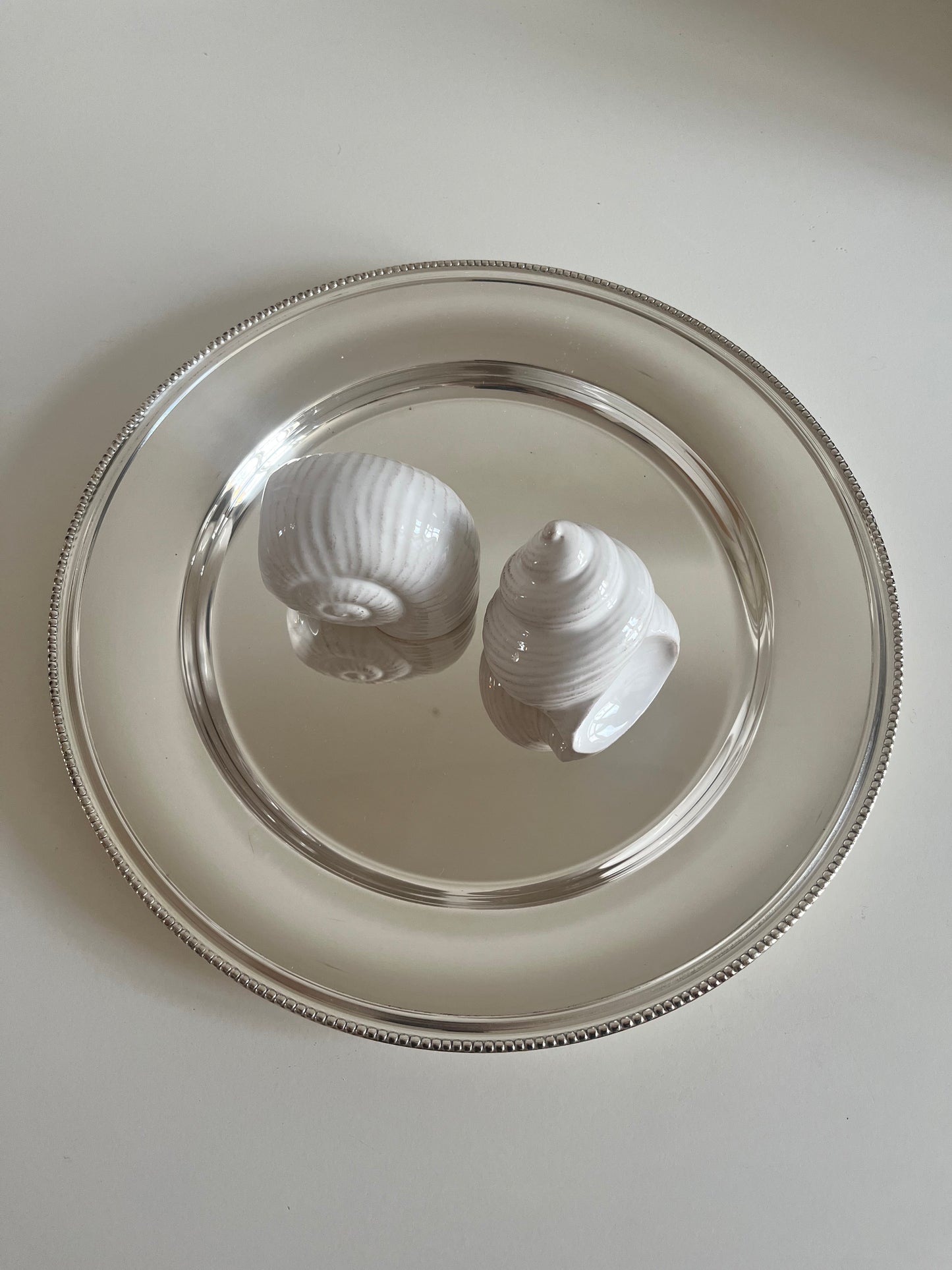 Porcelain Salt and Pepper Shell Set