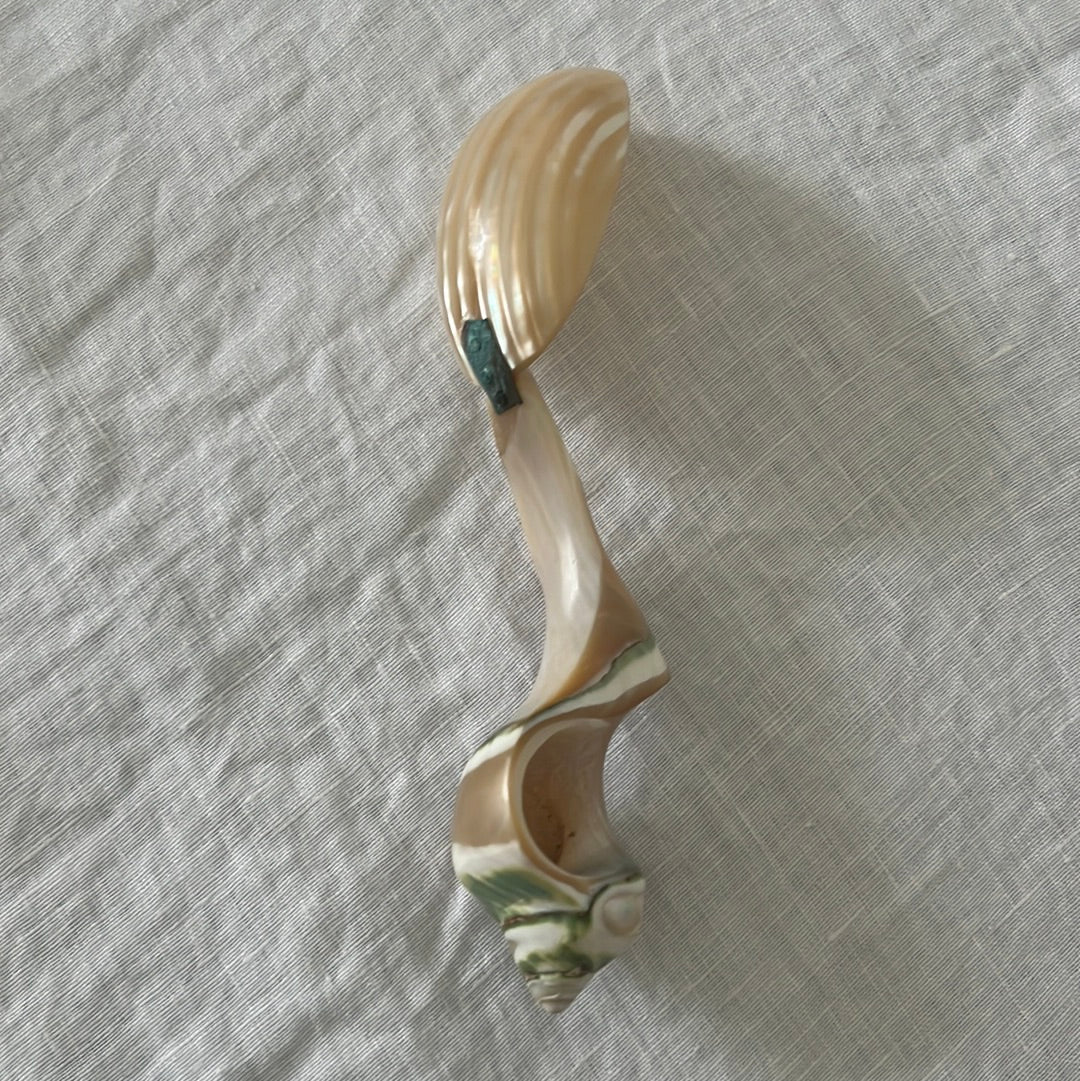 Vintage Mother of Pearl Spoon