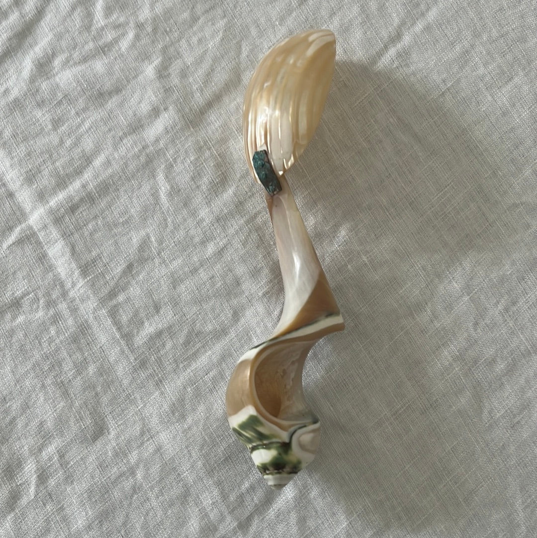 Vintage Mother of Pearl Spoon
