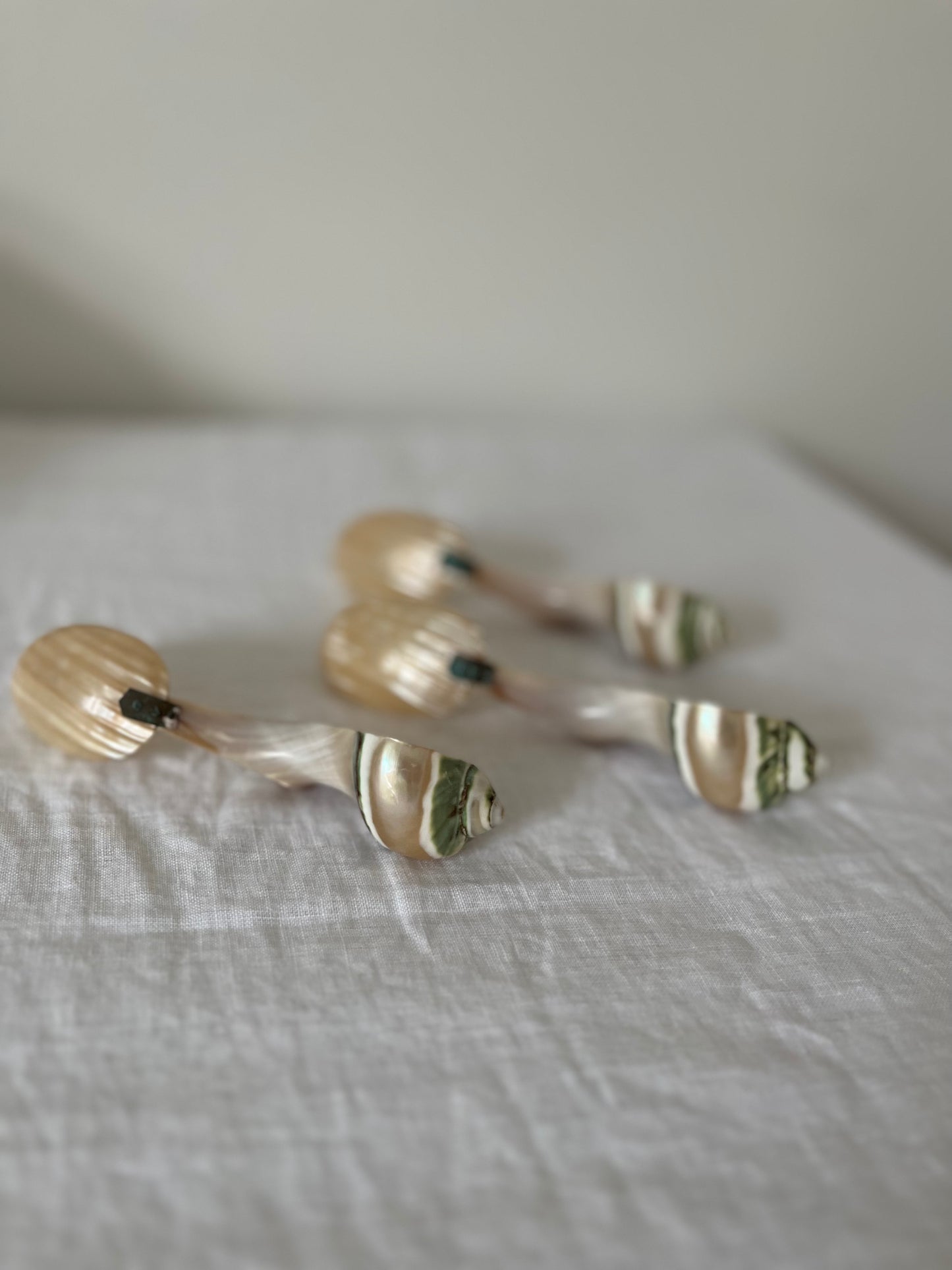 Vintage Mother of Pearl Spoon