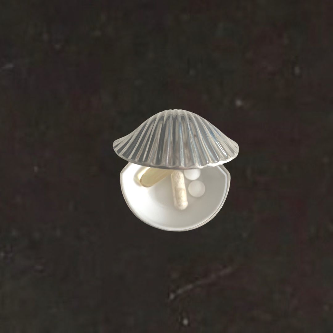 Silver Plated Shell Pill Box