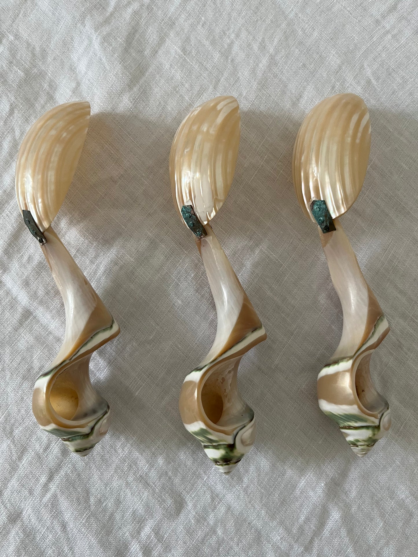 Vintage Mother of Pearl Spoon
