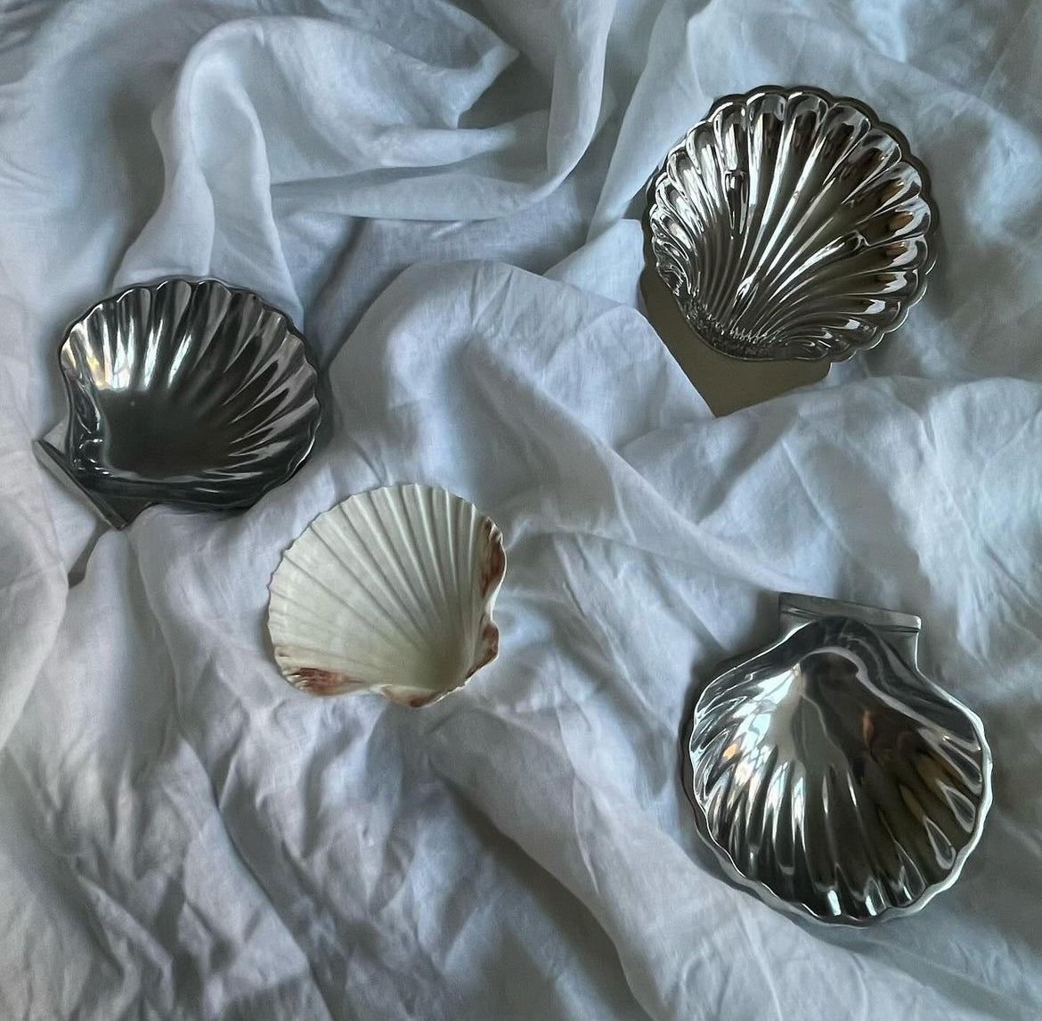 SHELL LIFE