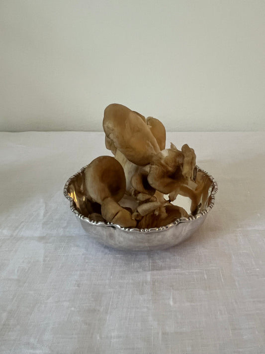 Curvy Silver Plated Bowl