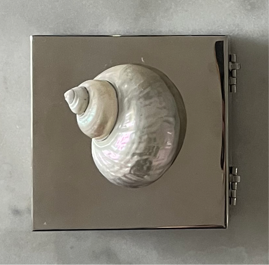 Silver Plated Mega-Shell Box