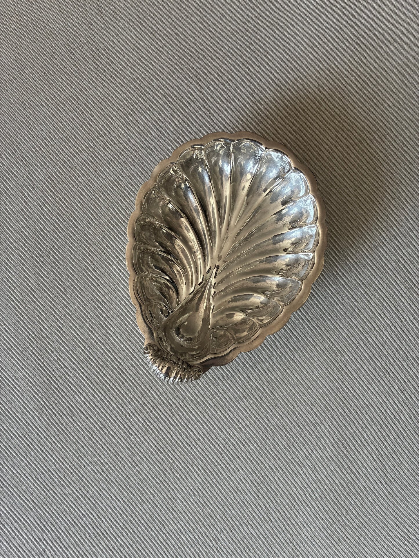 Shell Collection