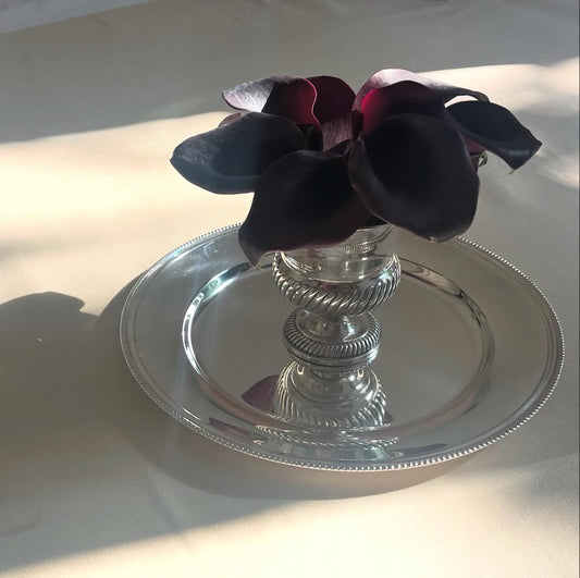 Delicious Small Silver Plated Vase
