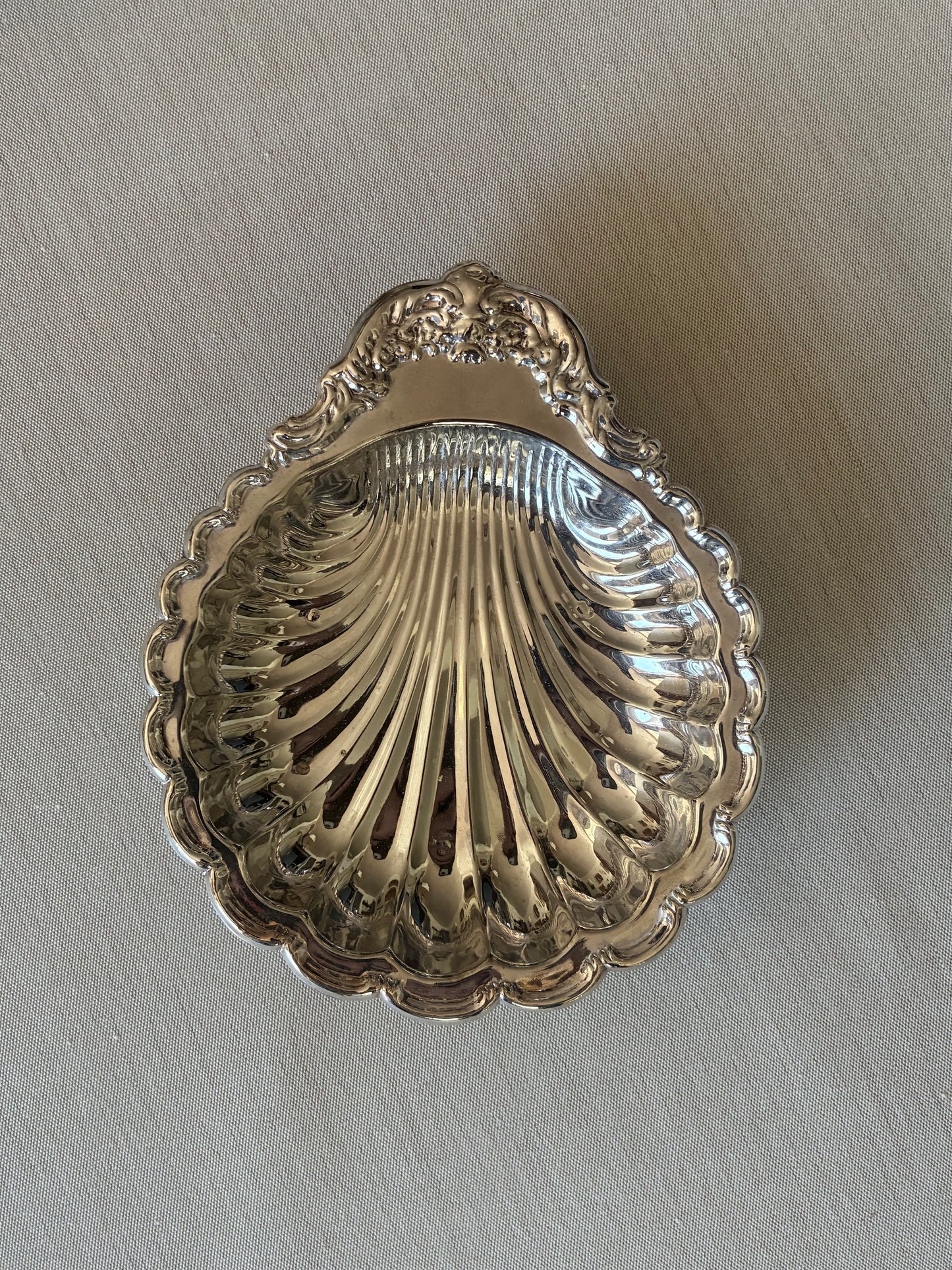 Shell Collection
