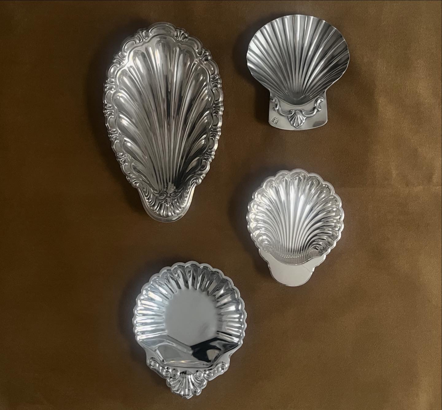 Sea of Shells Collection