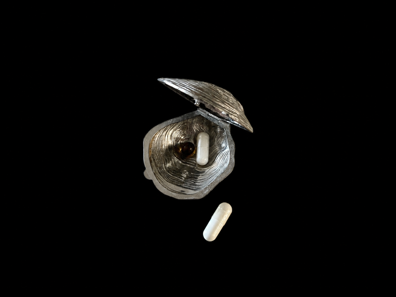 Silver Plated Oyster Pill Box