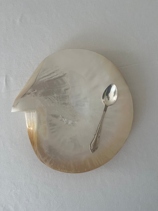 Giant Mother of Pearl Dish